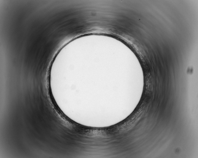 X0000103911375200810101258