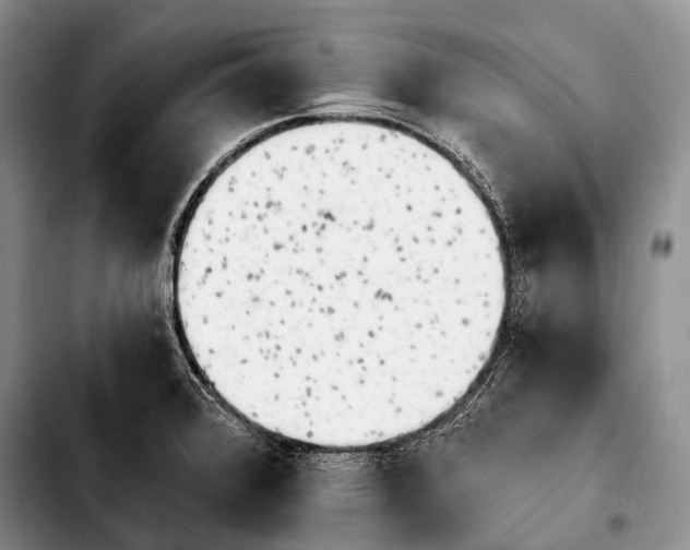 X0000103911376200810101258