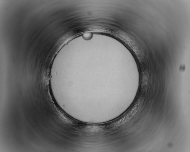 X0000103911377200810101258