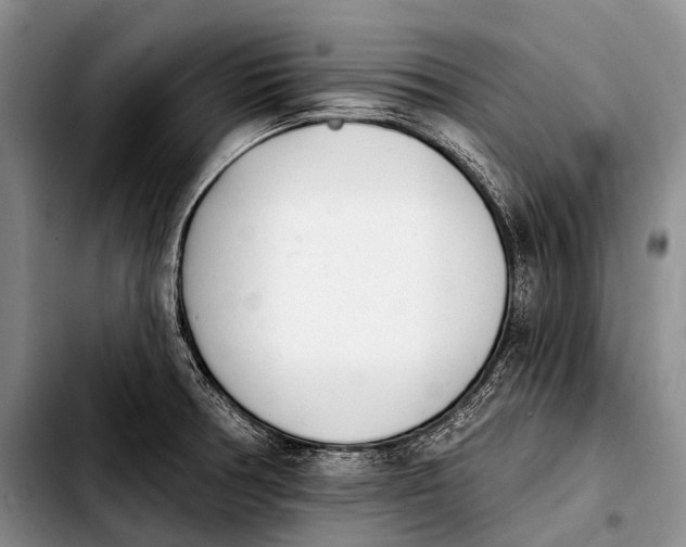 X0000103911378200810101258