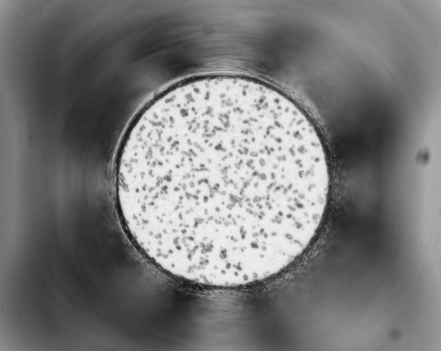 X0000103911380200810101258
