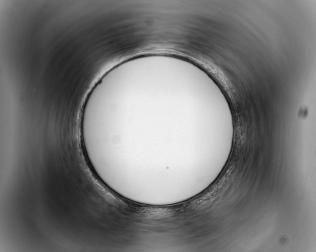 X0000103911382200810101258