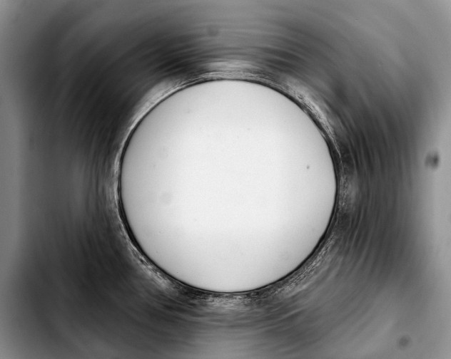 X0000103911386200810101258