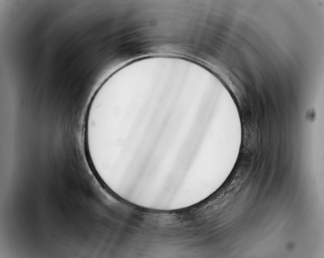 X0000103911387200810101258