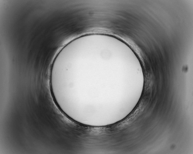X0000103911390200810101258