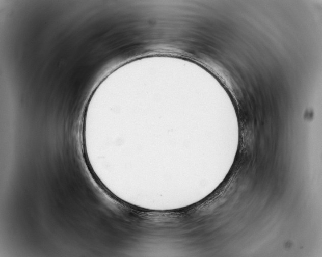 X0000103911391200810101258