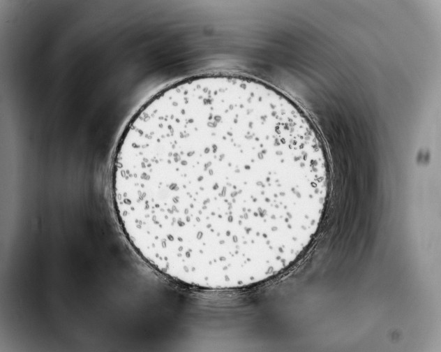 X0000103911392200810101258