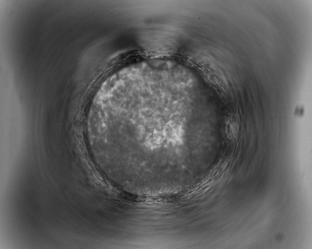 X0000103911393200810101257