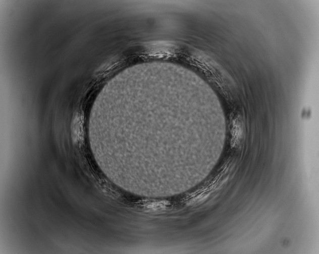X0000103911394200810101257