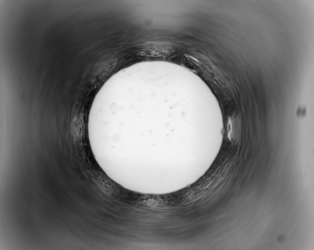 X0000103911395200810101257