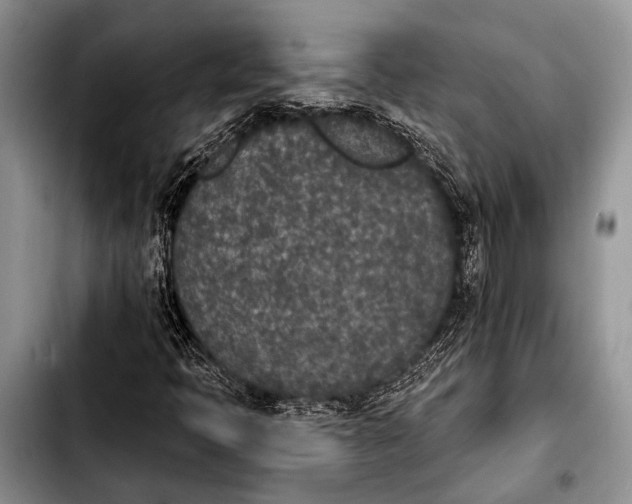 X0000103911397200810101257
