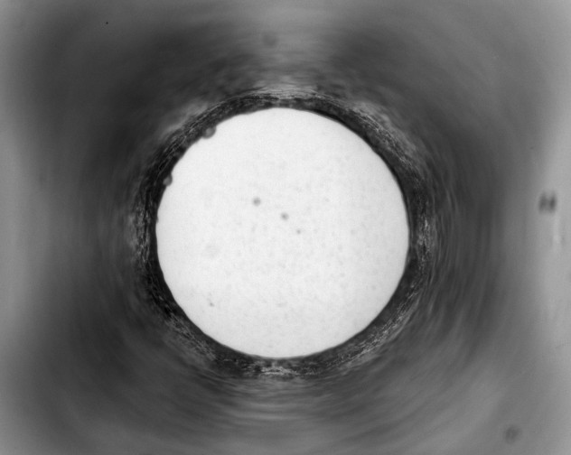 X0000103911398200810101257