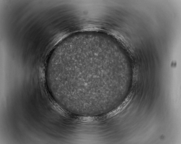 X0000103911401200810101257