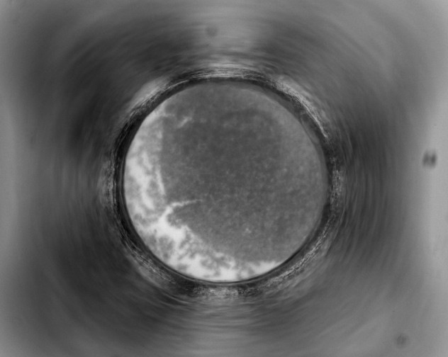 X0000103911403200810101257