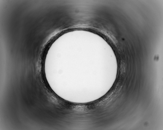 X0000103911406200810101257