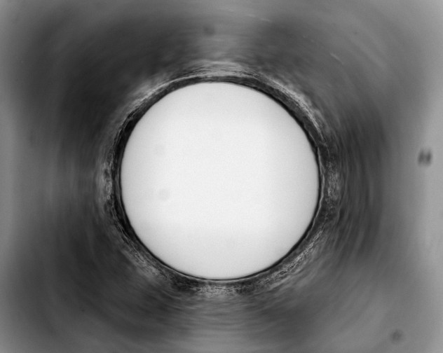 X0000103911407200810101257