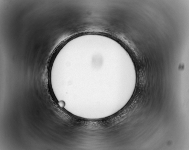 X0000103911408200810101257