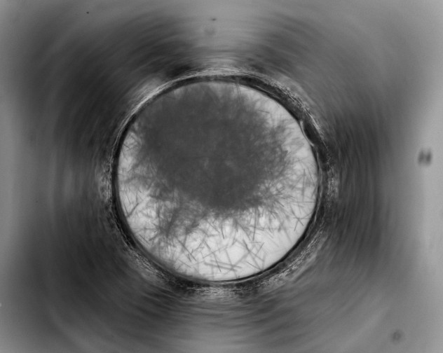 X0000103911409200810101257
