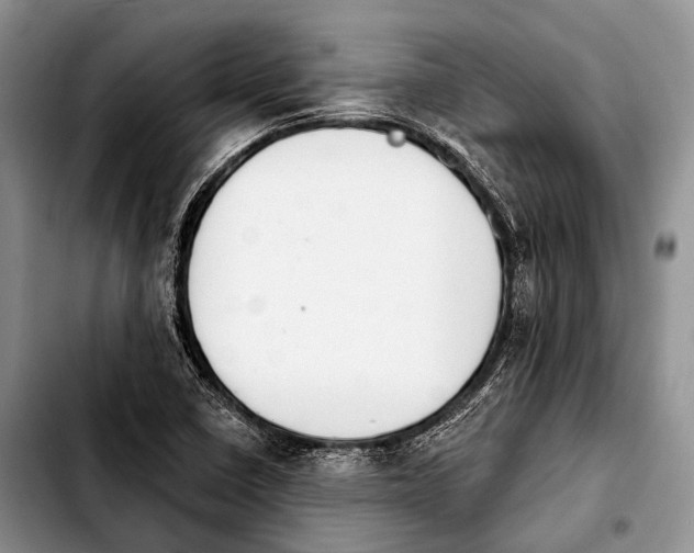 X0000103911410200810101257