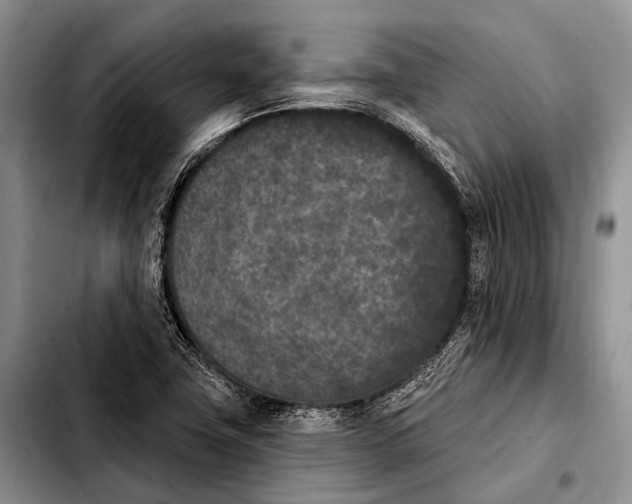 X0000103911411200810101257