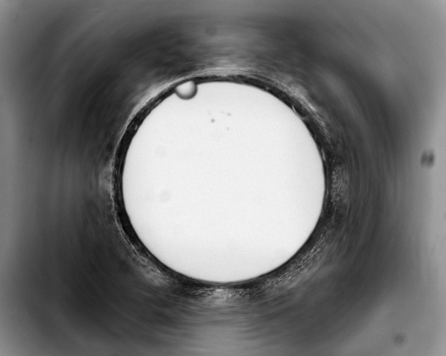 X0000103911412200810101257