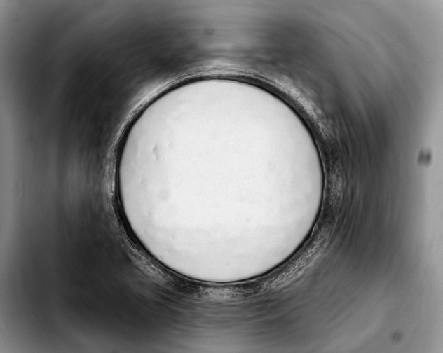 X0000103911413200810101257