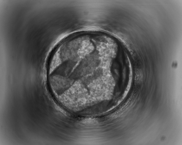 X0000103911414200810101257