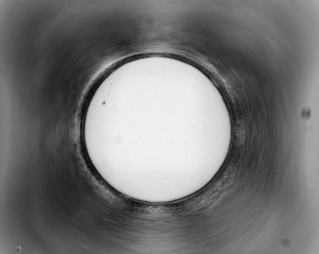 X0000103911416200810101257