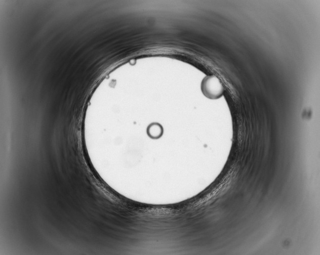 X0000103911417200810101258