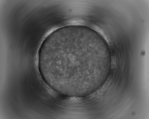 X0000103911419200810101258