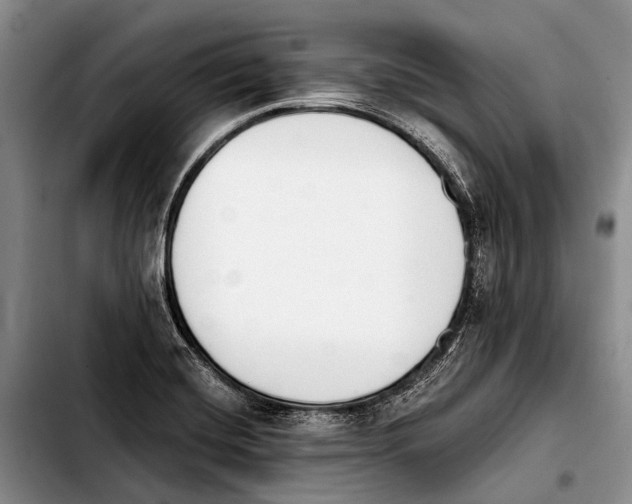 X0000103911420200810101258