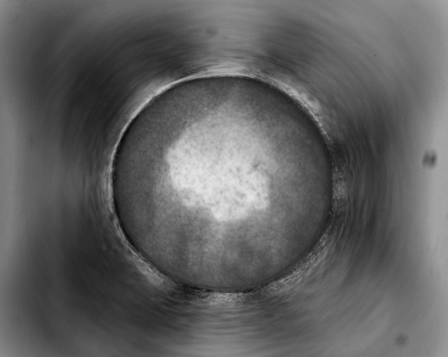 X0000103911423200810101258