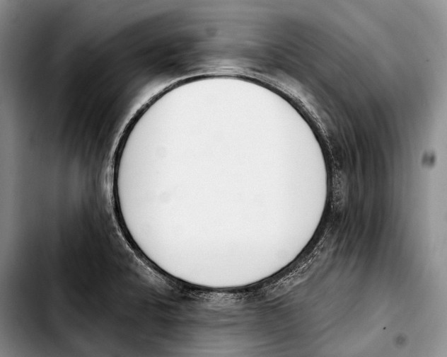 X0000103911424200810101258