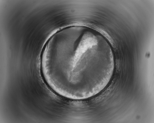 X0000103911428200810101258
