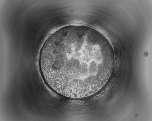 X0000103911429200810101258