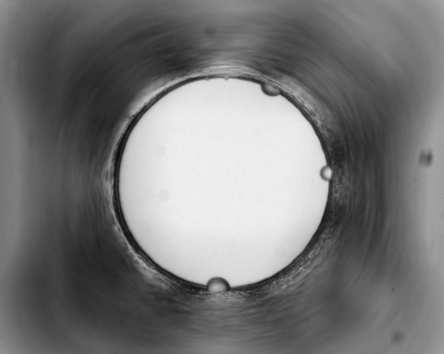X0000103911430200810101258