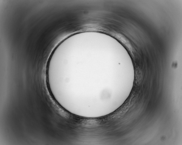 X0000103911431200810101258
