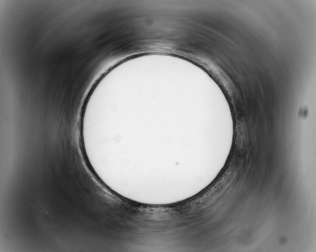 X0000103911432200810101258