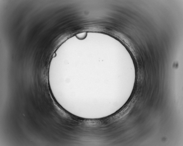 X0000103911433200810101258