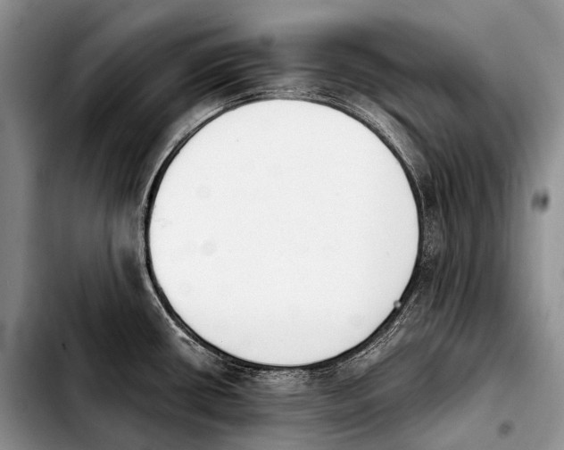 X0000103911434200810101258
