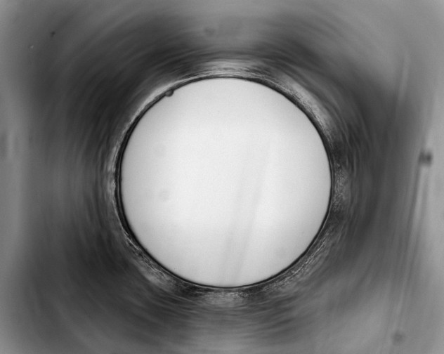 X0000103911435200810101258