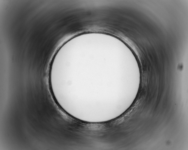 X0000103911437200810101258