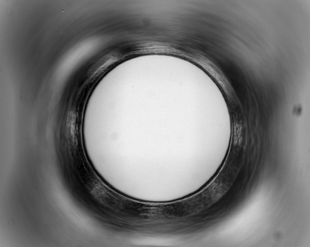 X0000103911438200810101258