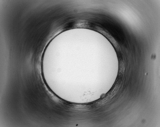X0000103911439200810101258