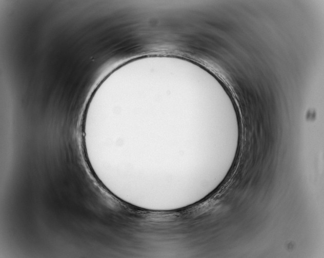 X0000103911440200810101258