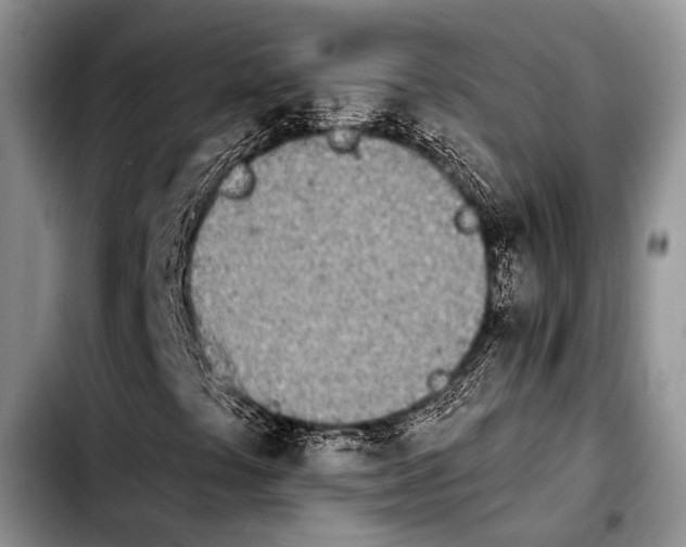 X0000103911441200810101257