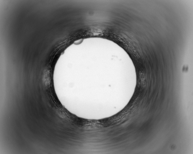 X0000103911442200810101257