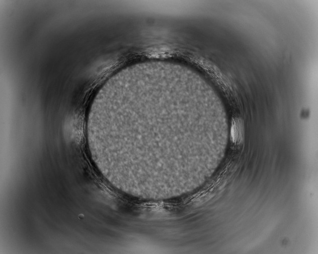 X0000103911444200810101257