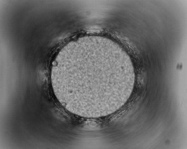 X0000103911445200810101257
