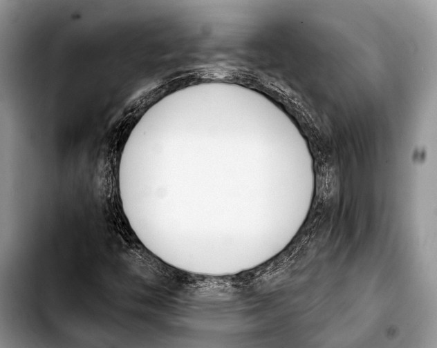 X0000103911446200810101257